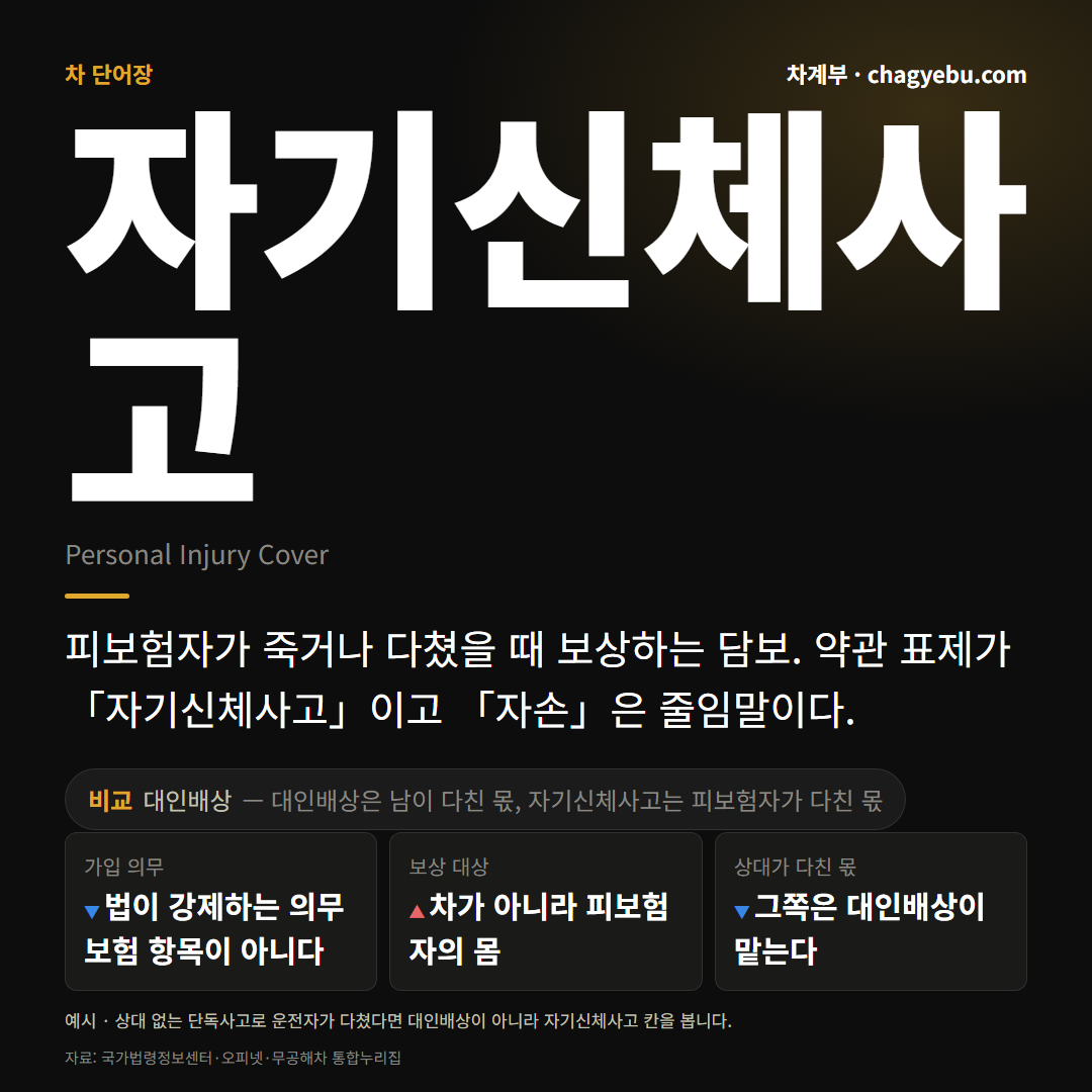 자기신체사고 단어 카드 — 정의와 대인배상 비교, 가입 의무·보상 대상·상대가 다친 몫