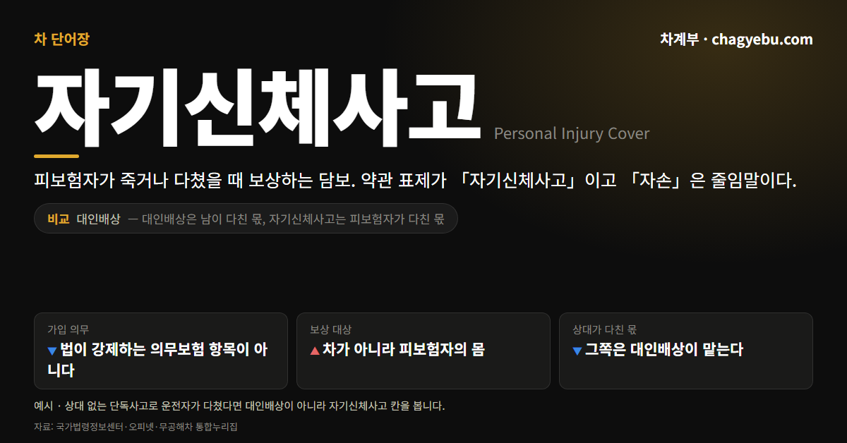차 단어장 자기신체사고 카드 — 피보험자가 죽거나 다쳤을 때 보상하는 담보라는 정의와 대인배상 비교, 가입 의무·보상 대상·상대가 다친 몫 세 가지 항목